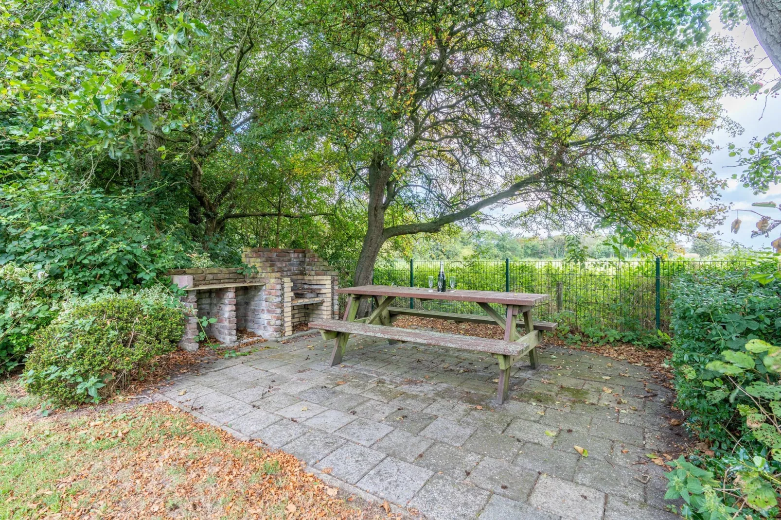 Het oude dijkje-Jardins en été