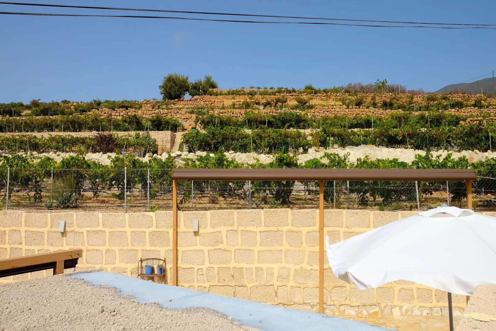 Finca Buenos Aires-Areas within 1km in summer