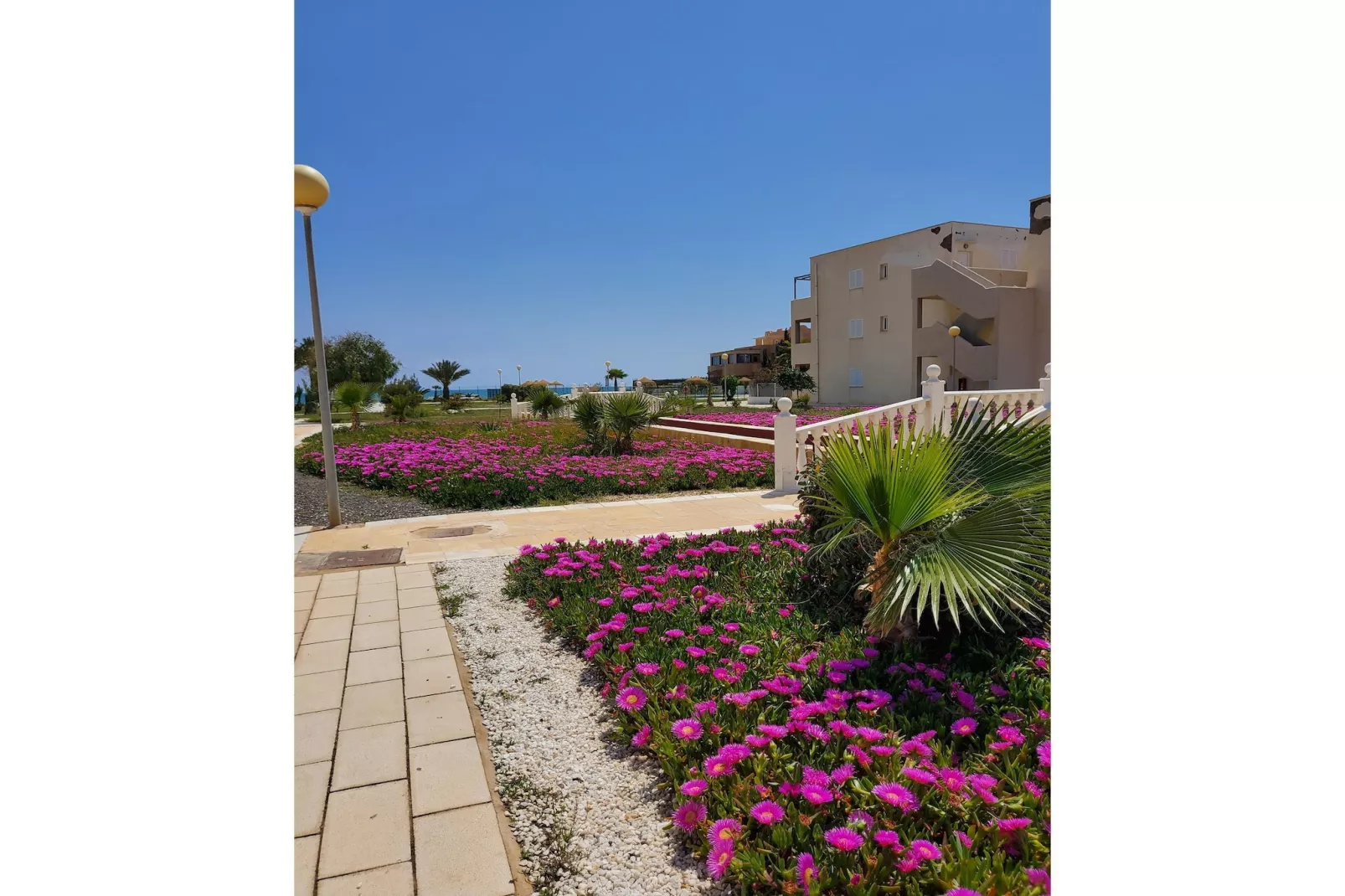 CT 371 AL - Faro's Veraplaya Naturista Apartment-Gardens in summer