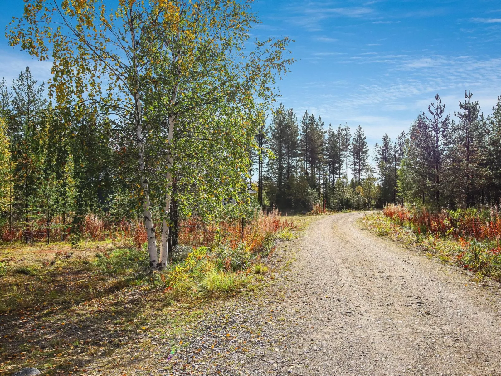 Lampitaival 5-Dedans