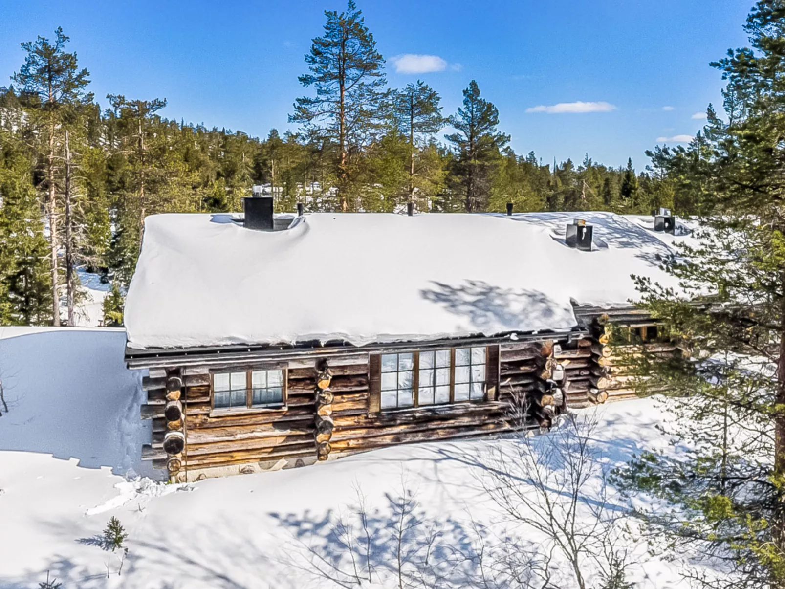 Rukan kelohuvila-Dedans