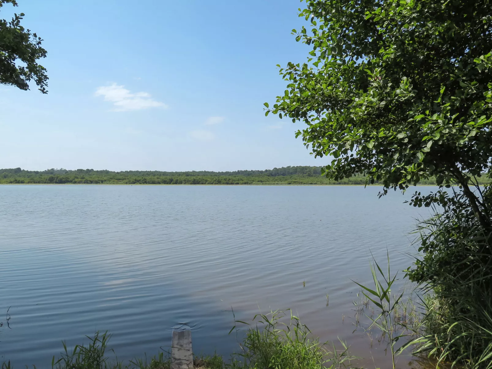 Laplace-Environnement