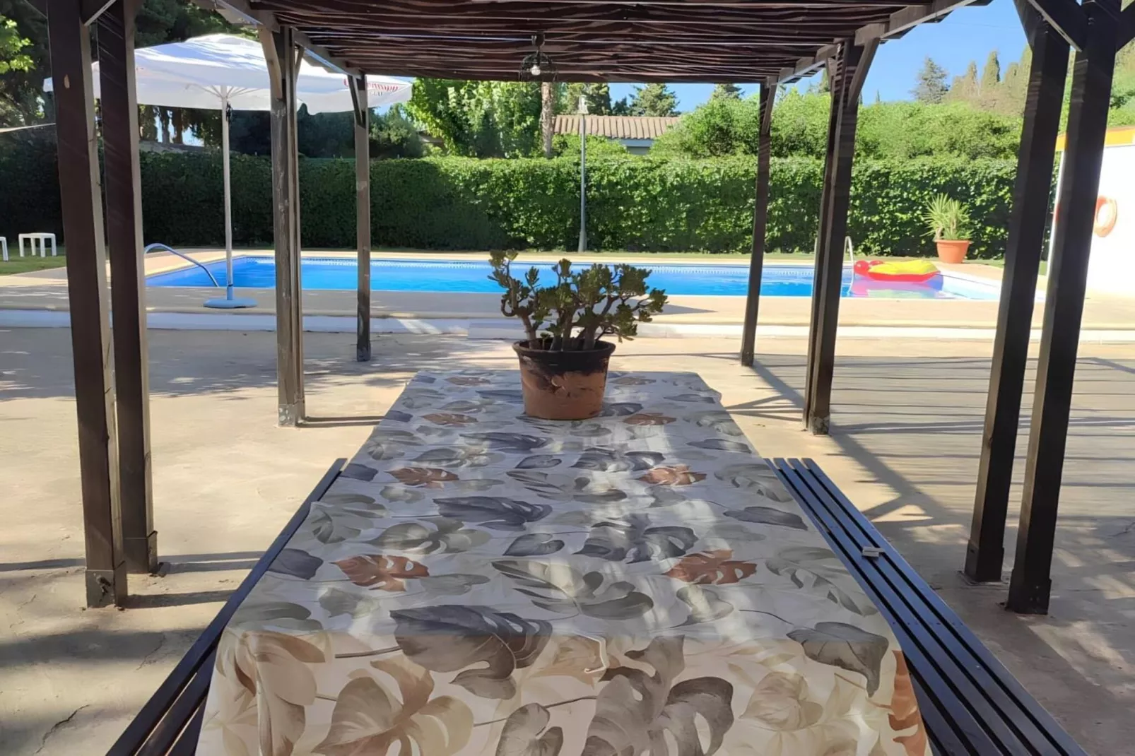 4662-+34657932478-Terrasse/Balkon