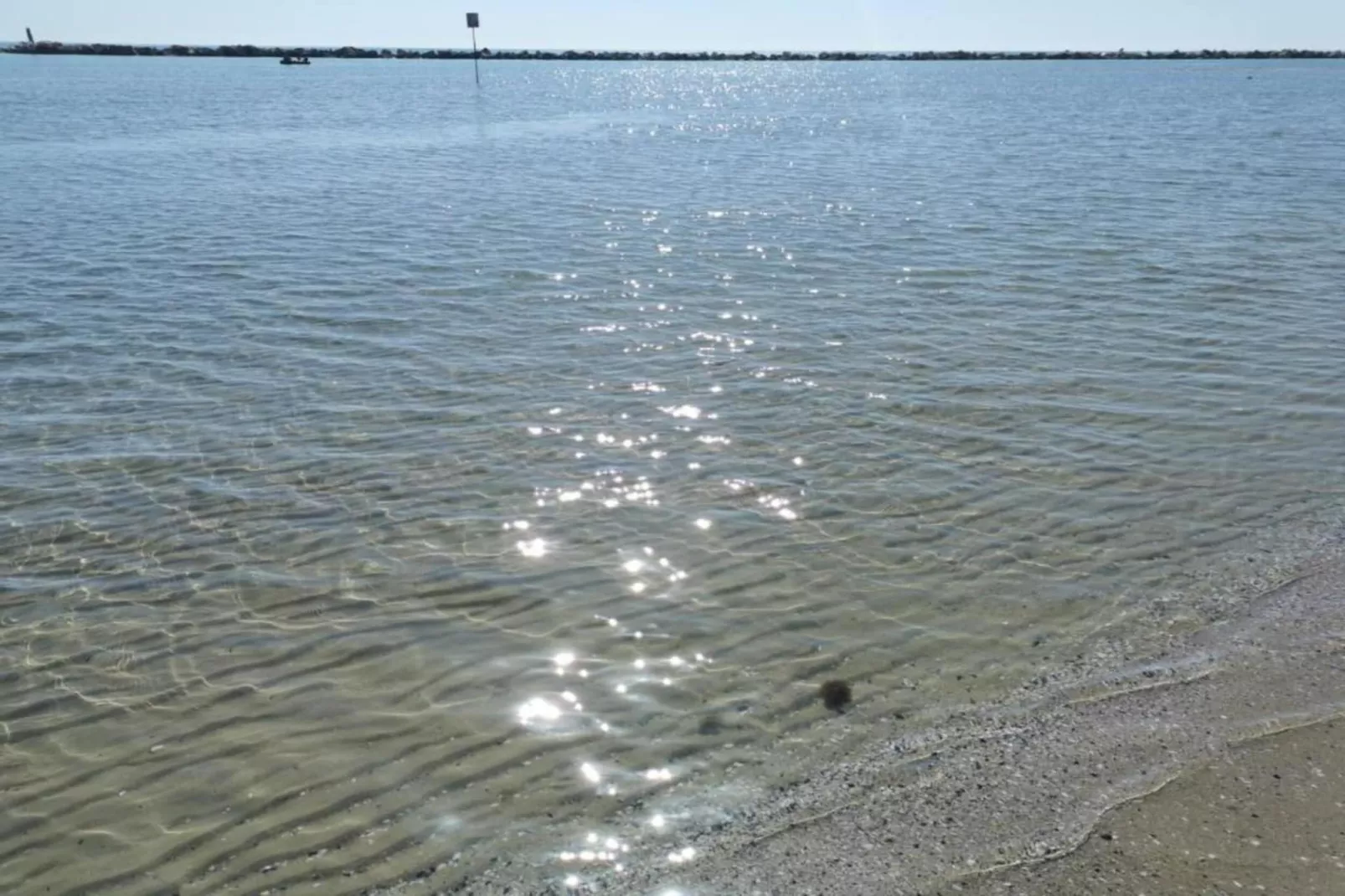 Residenza Capri TRILO 6-Areas within 1km in summer