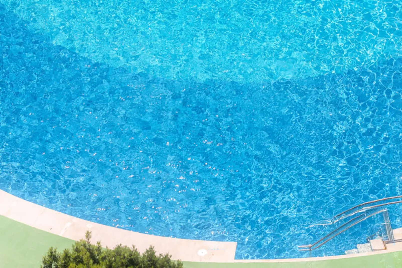 Studio à Roses-Untagged