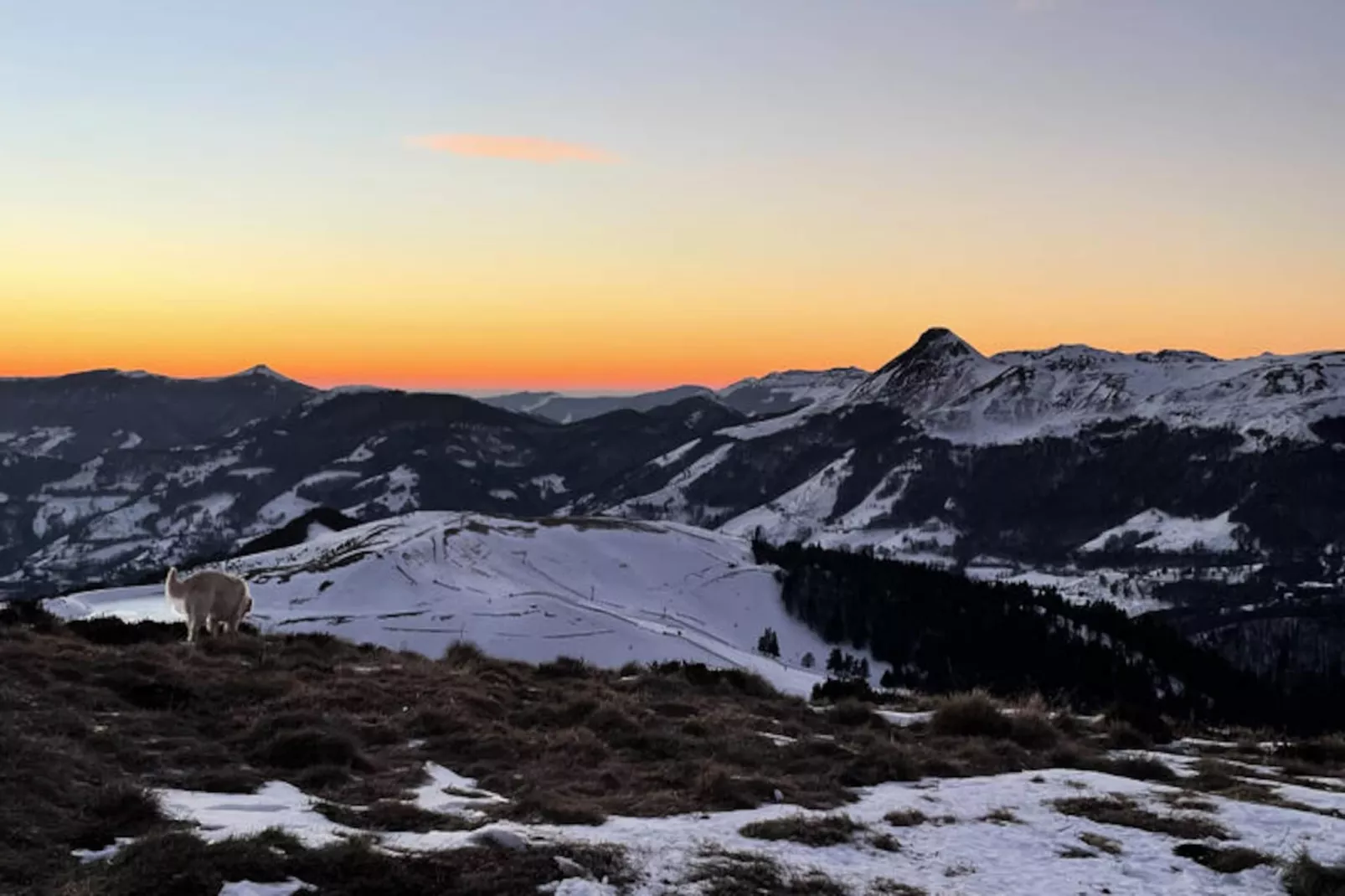 Appartements à Le Lioran-Nicht zugeordnet