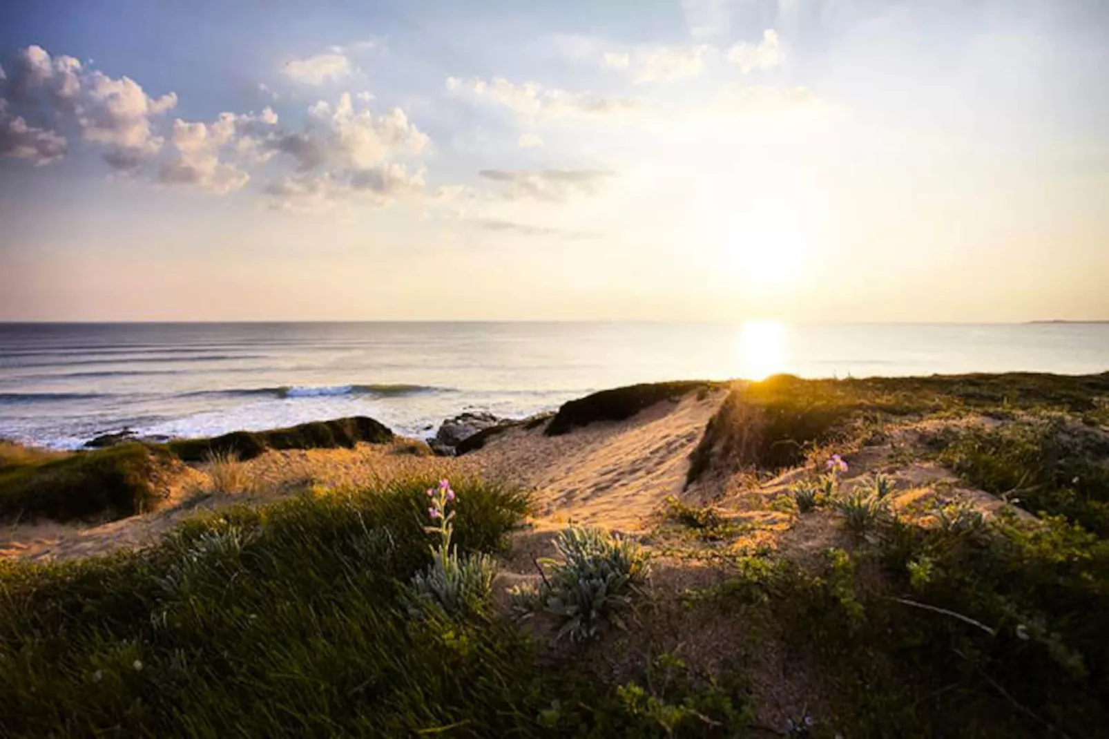 Maison à Le Fenouiller-Nicht zugeordnet
