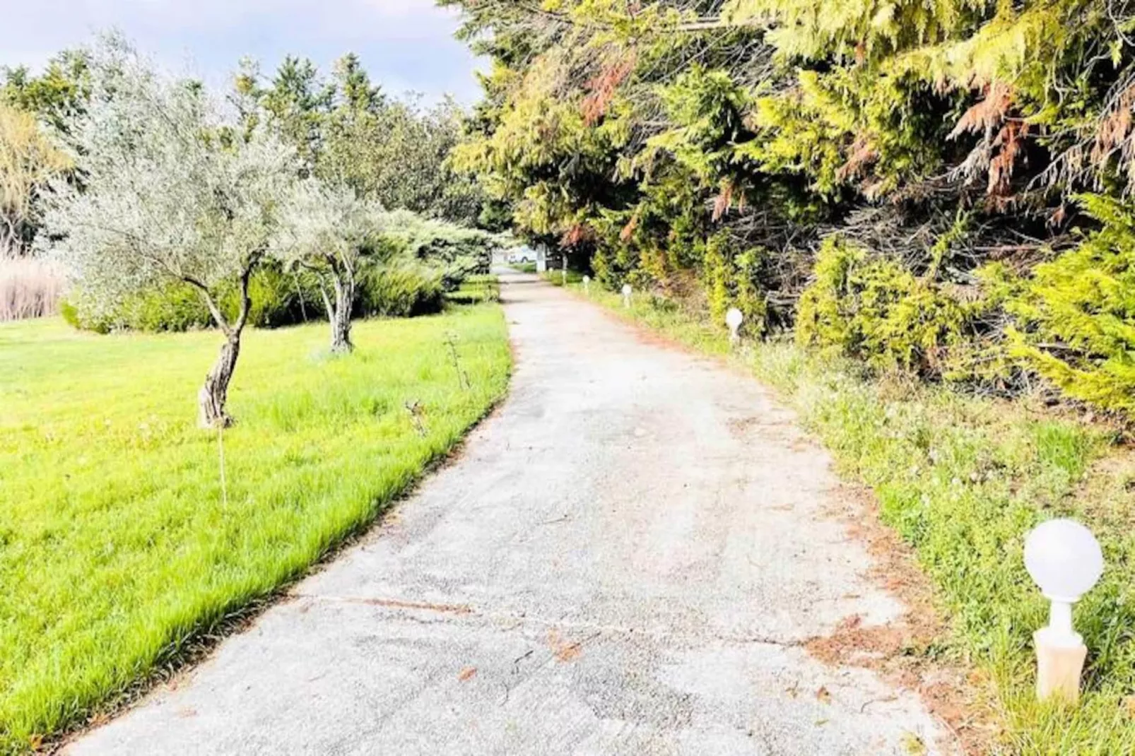 Superbe Mas Proven&ccedil;al - Piscine - Tennis - Parc-Untagged