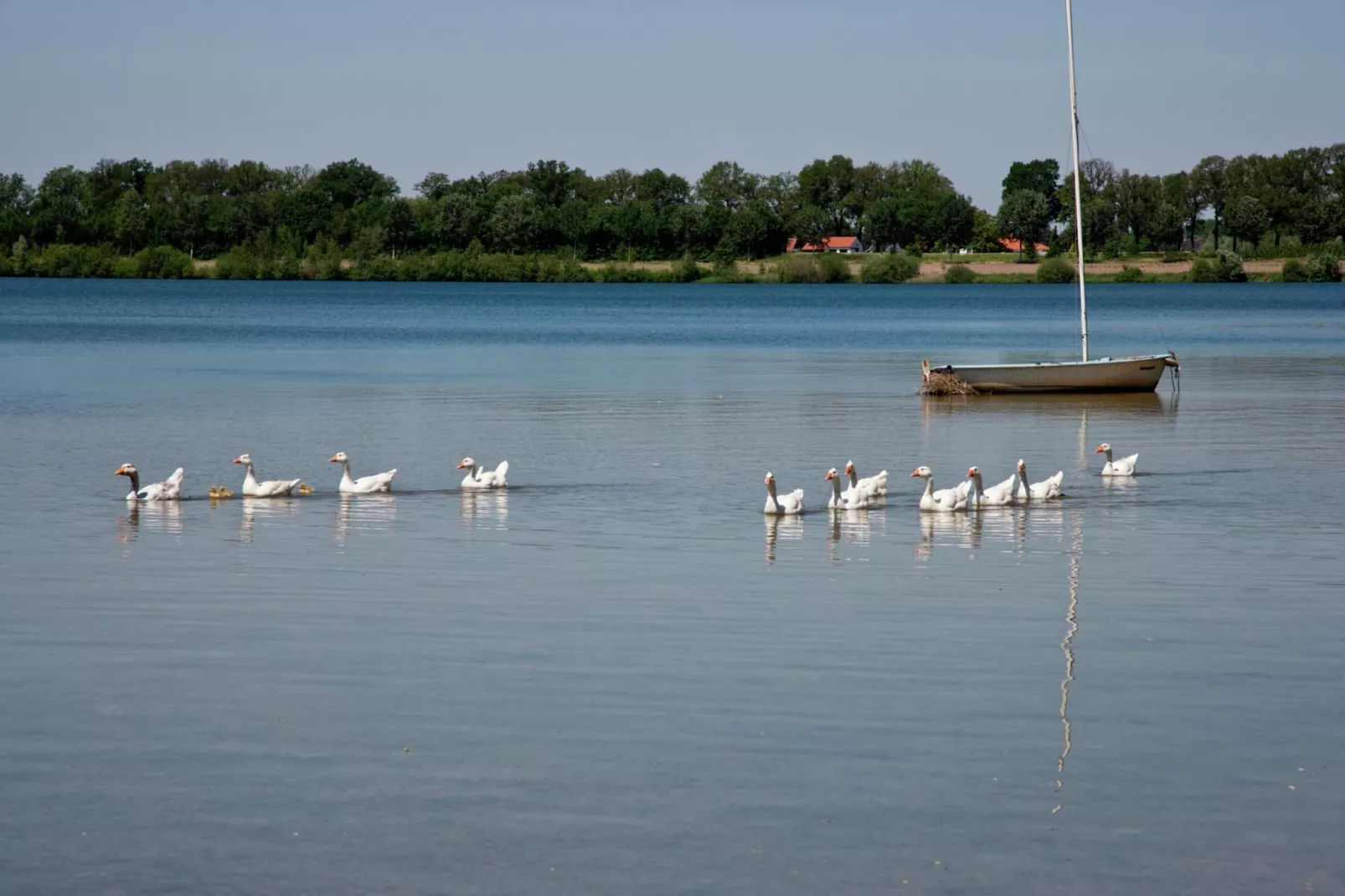 Boswoning-Zones été à 5 km