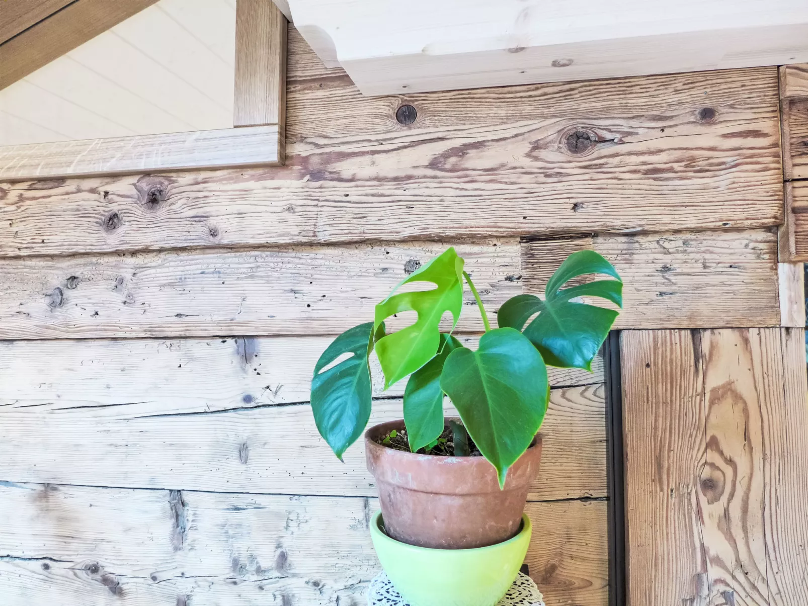 Beim Thor Gross-Dedans