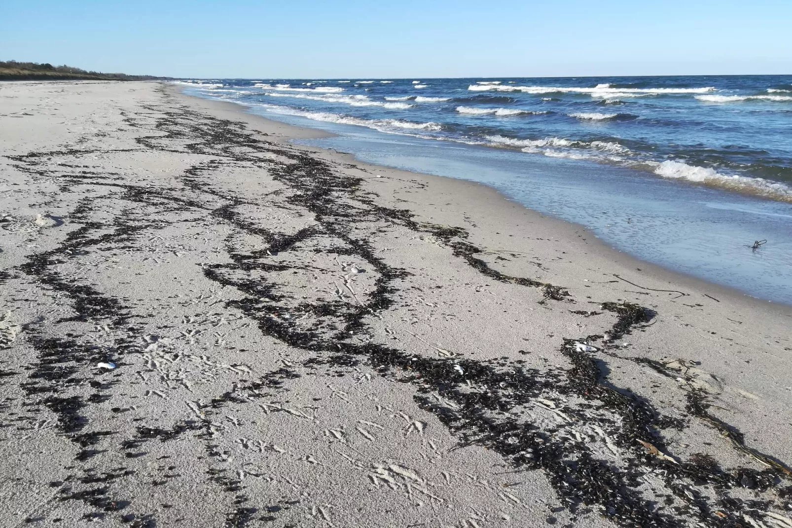 4 Personen Ferienhaus in Gedser-Wasserblick