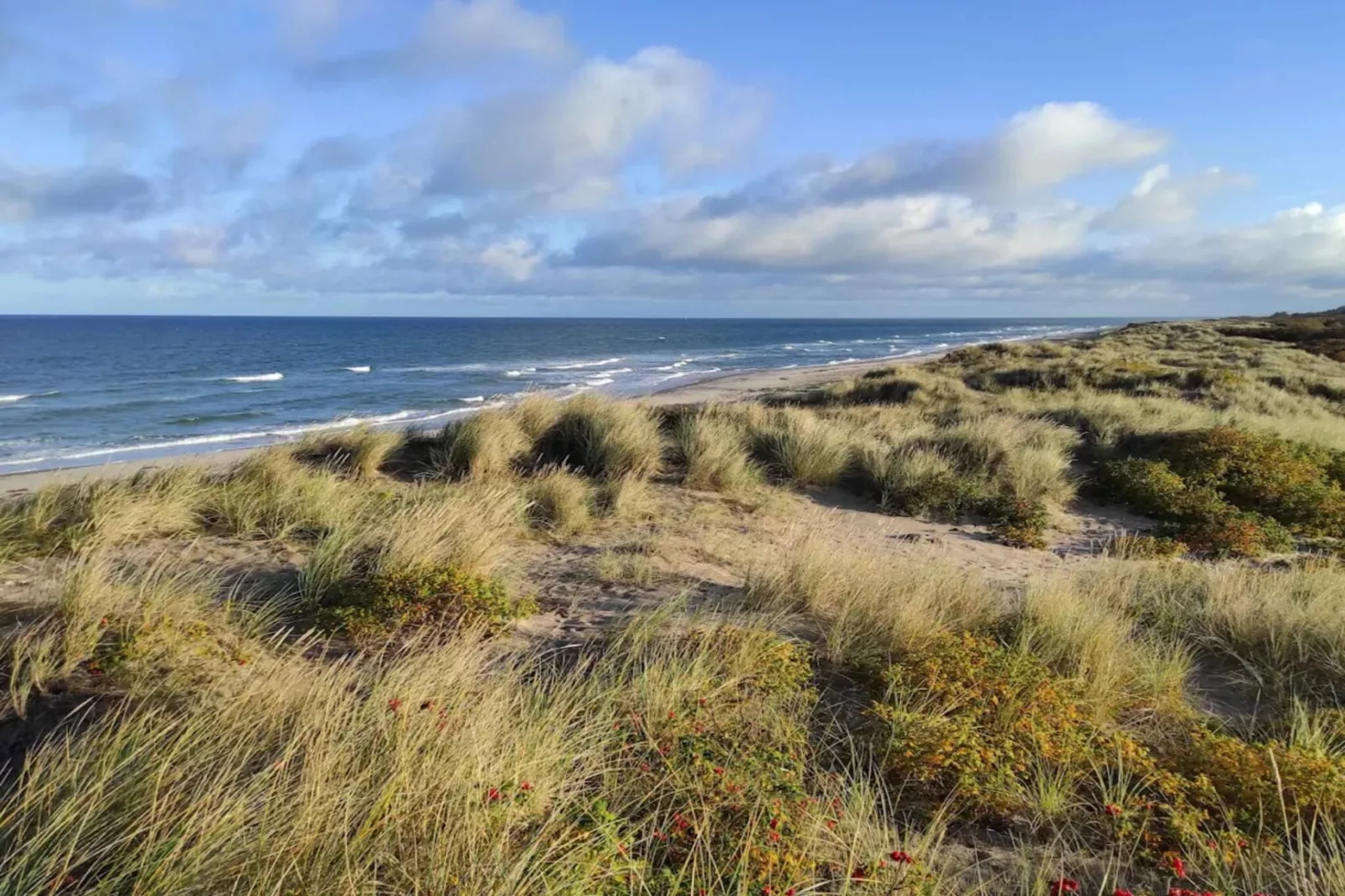 14 person holiday home in Vejby-Water view