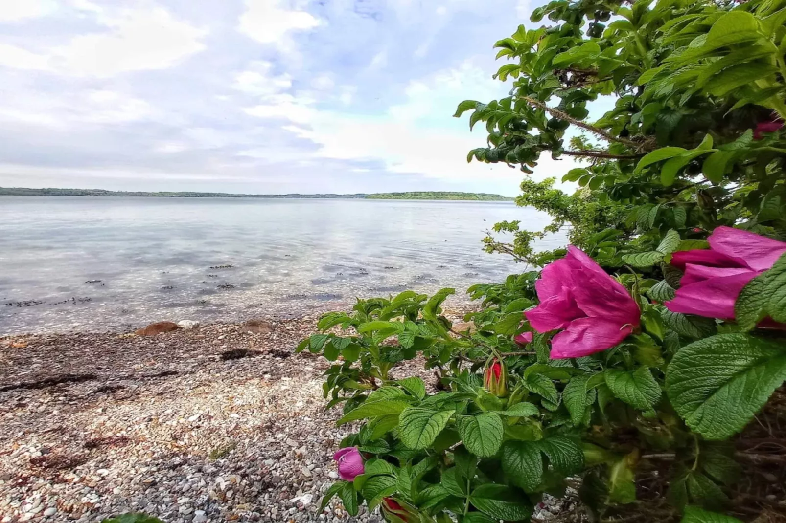 Luxury Retreat in Loddenhoj-By Traum-Water view