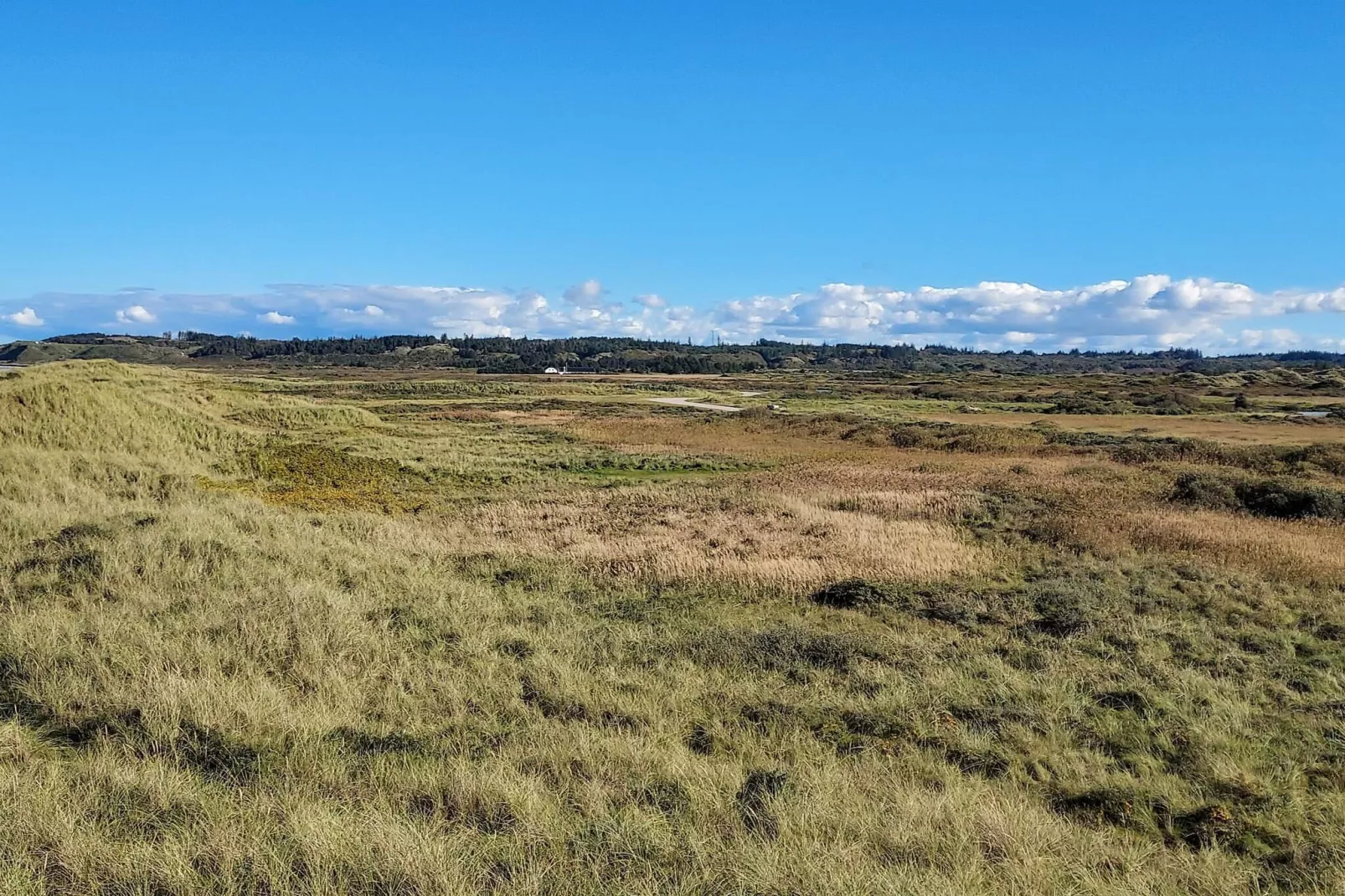 14 person holiday home in Løkken-Water view