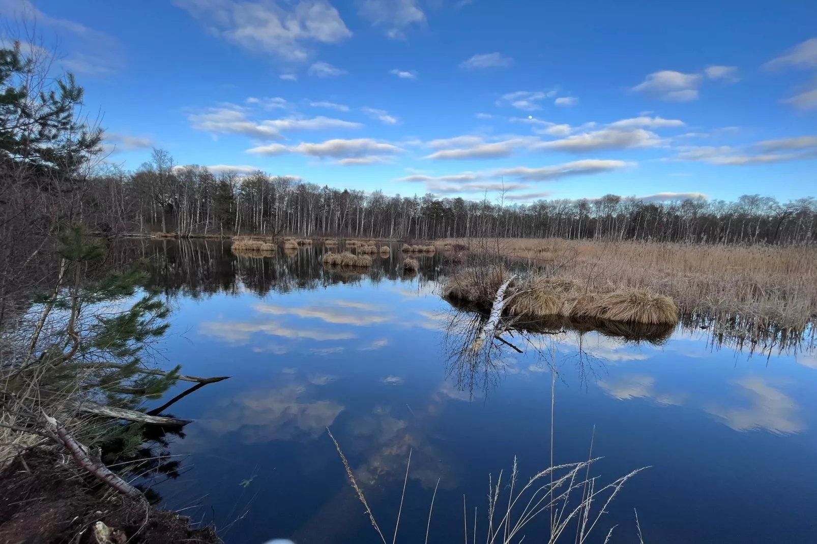 Maison de vacances pour 6 a Stubbekøbing-By Traum-Vue sur l'eau
