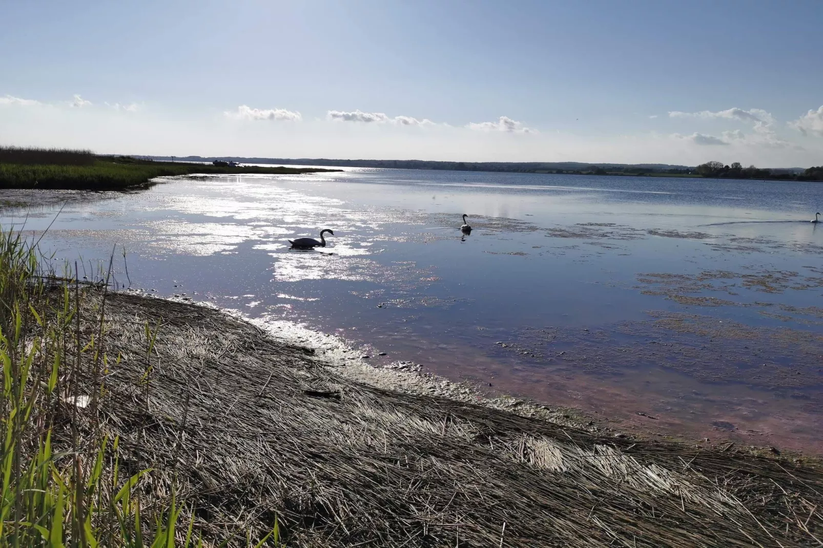 Seaside Escape in Praesto - By Traum Ferienwohnungen-Water view