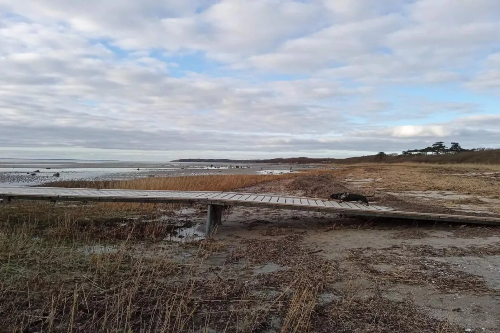 Luxurioser Ruckzug mit Pool -- By Traum Ferienwohnungen-Wasserblick