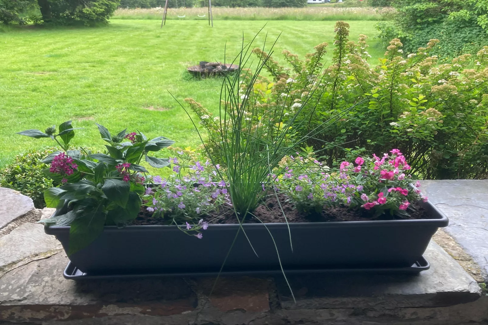 Domaine des Bouts de Fagnes-Ambiance