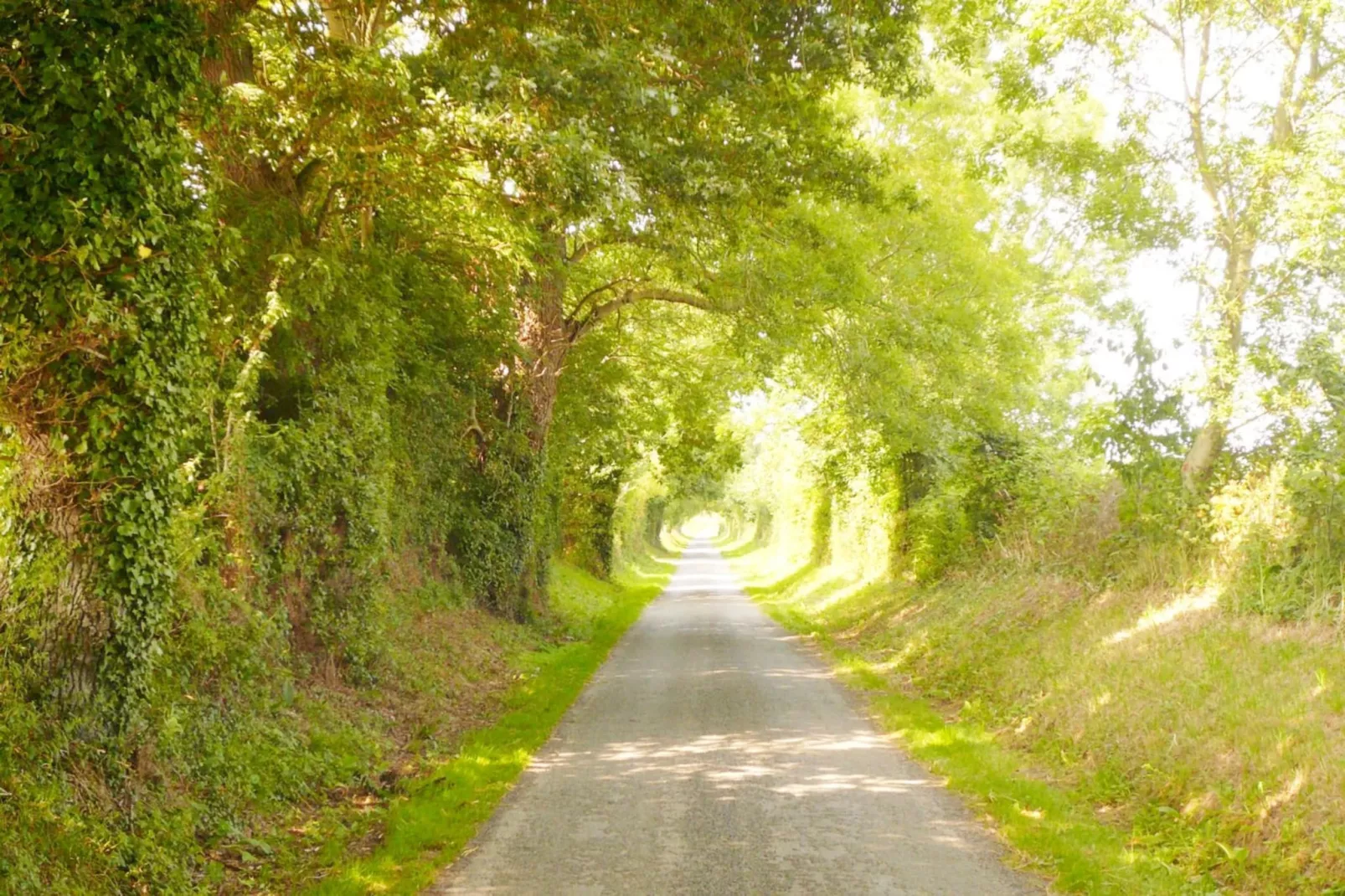 Gite Le Jonquet-Areas within 1km in summer