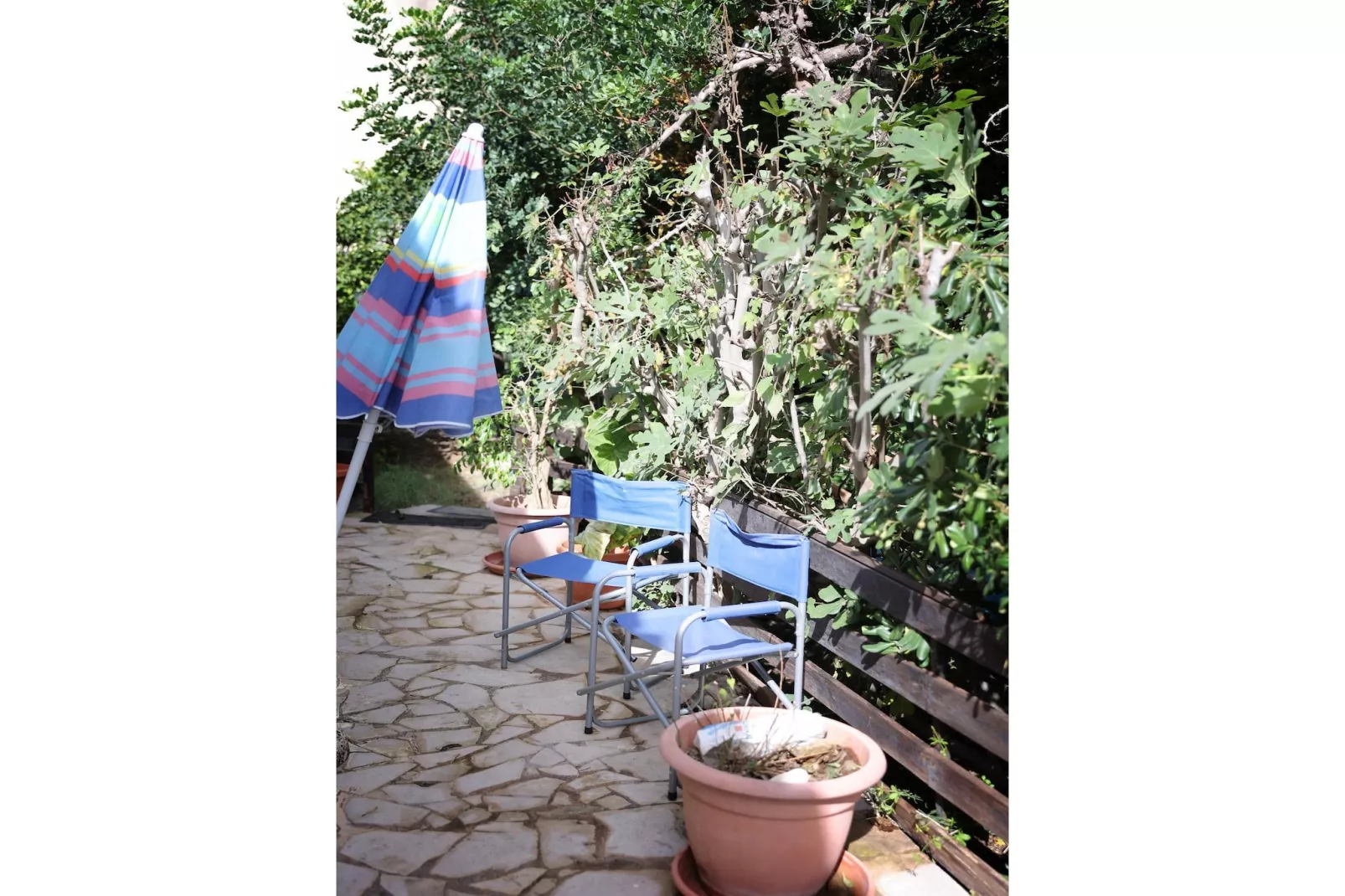 Casa del Limoneto Noto Marina-Ambiente