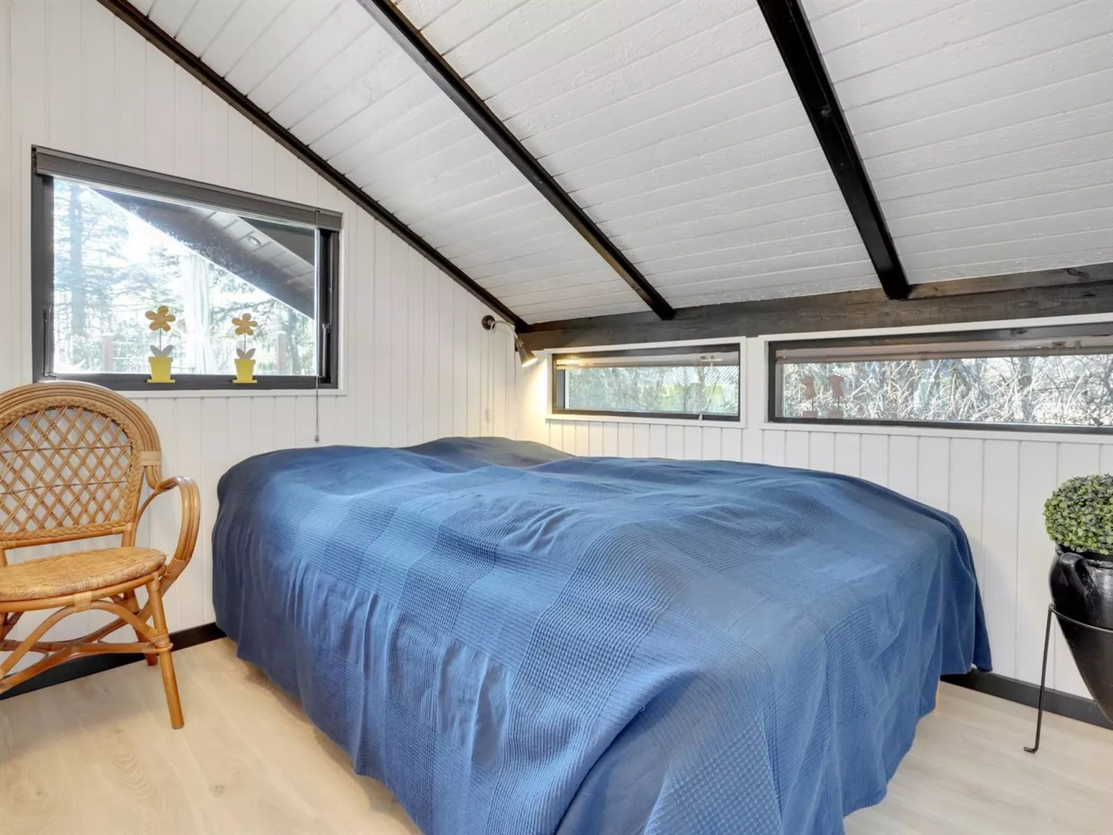 "Elisabeta" - 28km from the sea-Inside