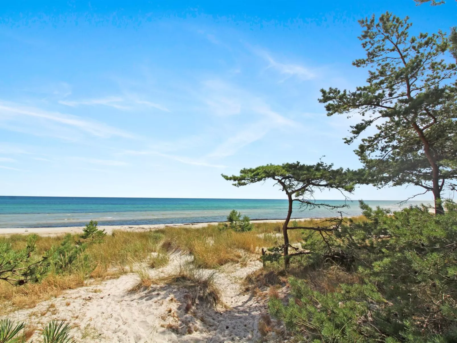 "Læff" - 50m from the sea-Draußen