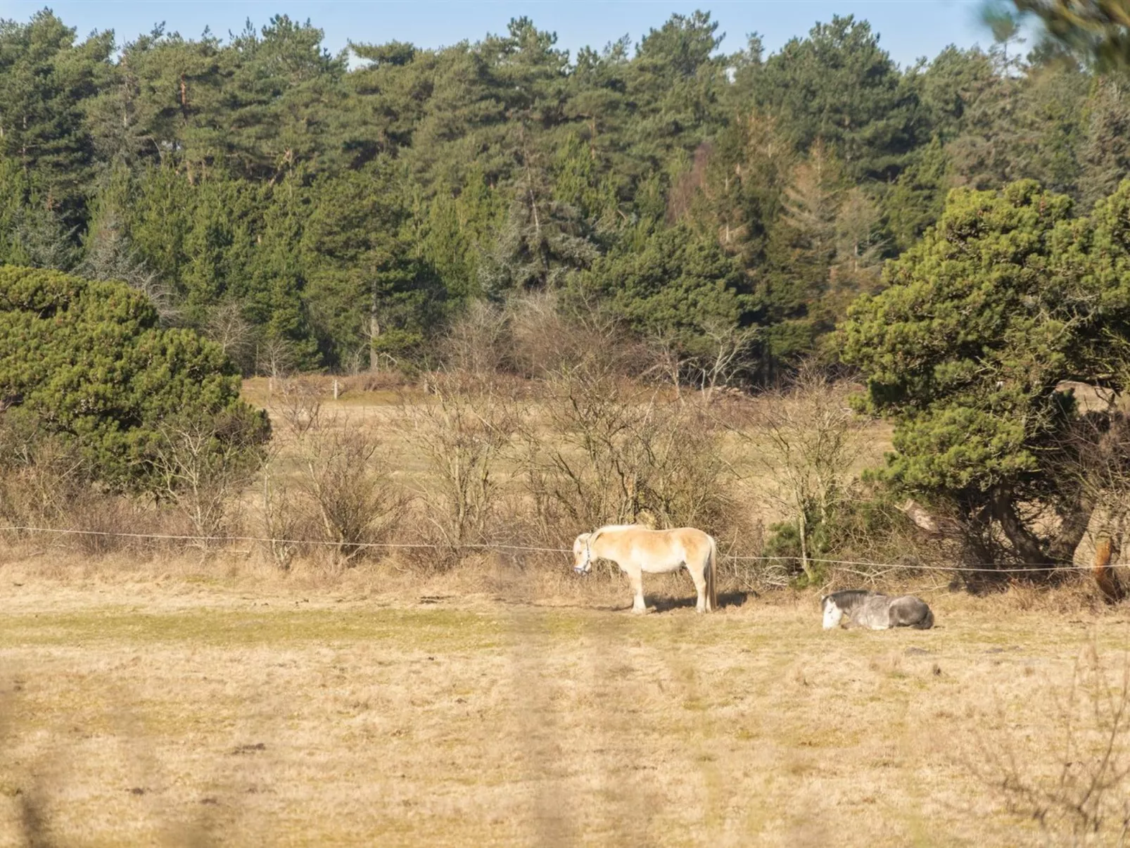 "Tine" - 2.3km from the sea-Outside