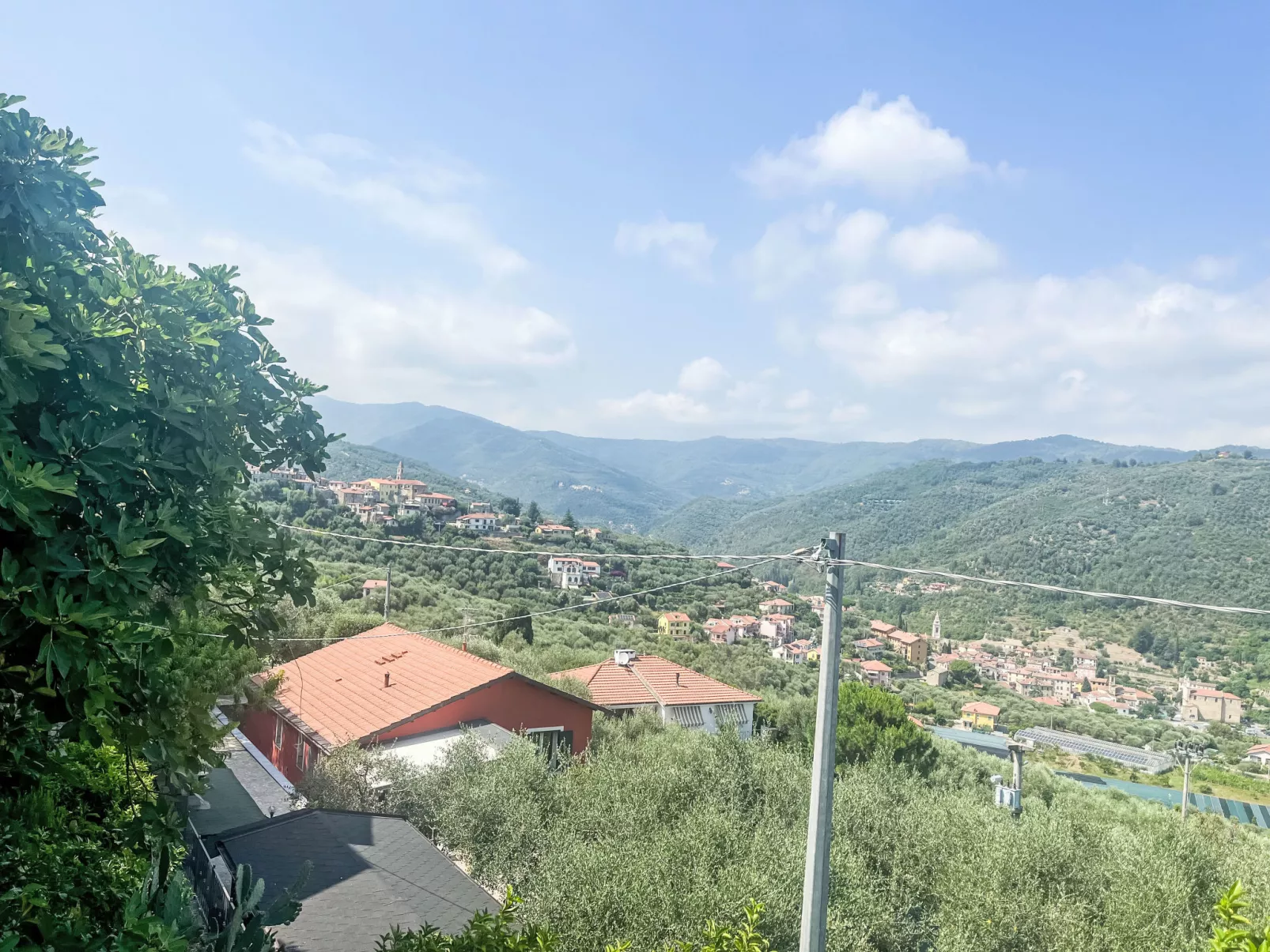 Marisa (DOL126)-Dehors