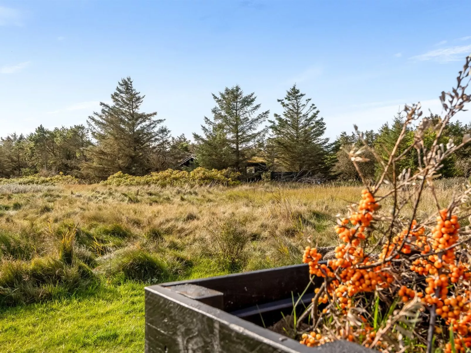 "Yaim" - 800m from the sea-Draußen