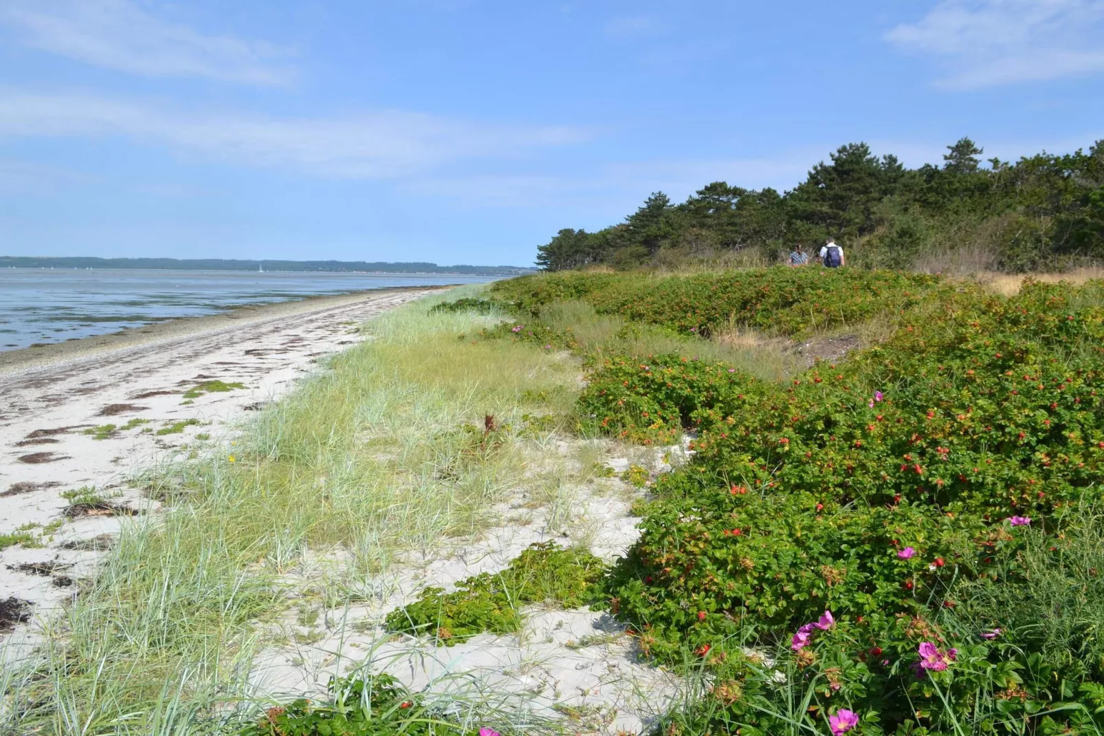 10 person holiday home in Ebeltoft-By Traum-Water view