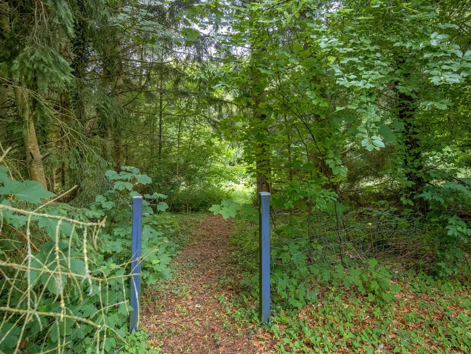 "Gudrid" - 250m to the fjord-Outside