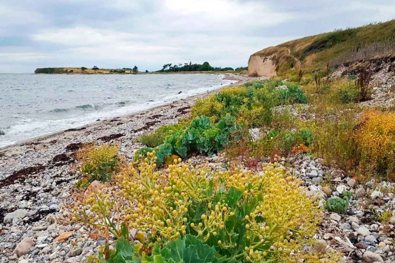 4 etoiles maison de vacances a Gørlev-By Traum-Vue sur l'eau
