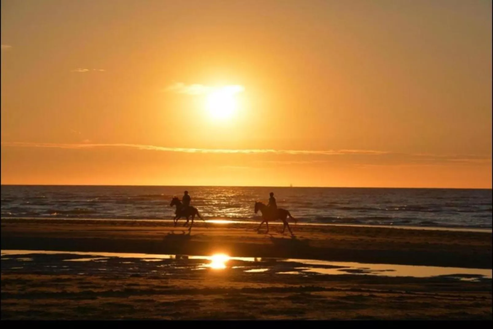 Manderley 0304-Areas within 20km in summer