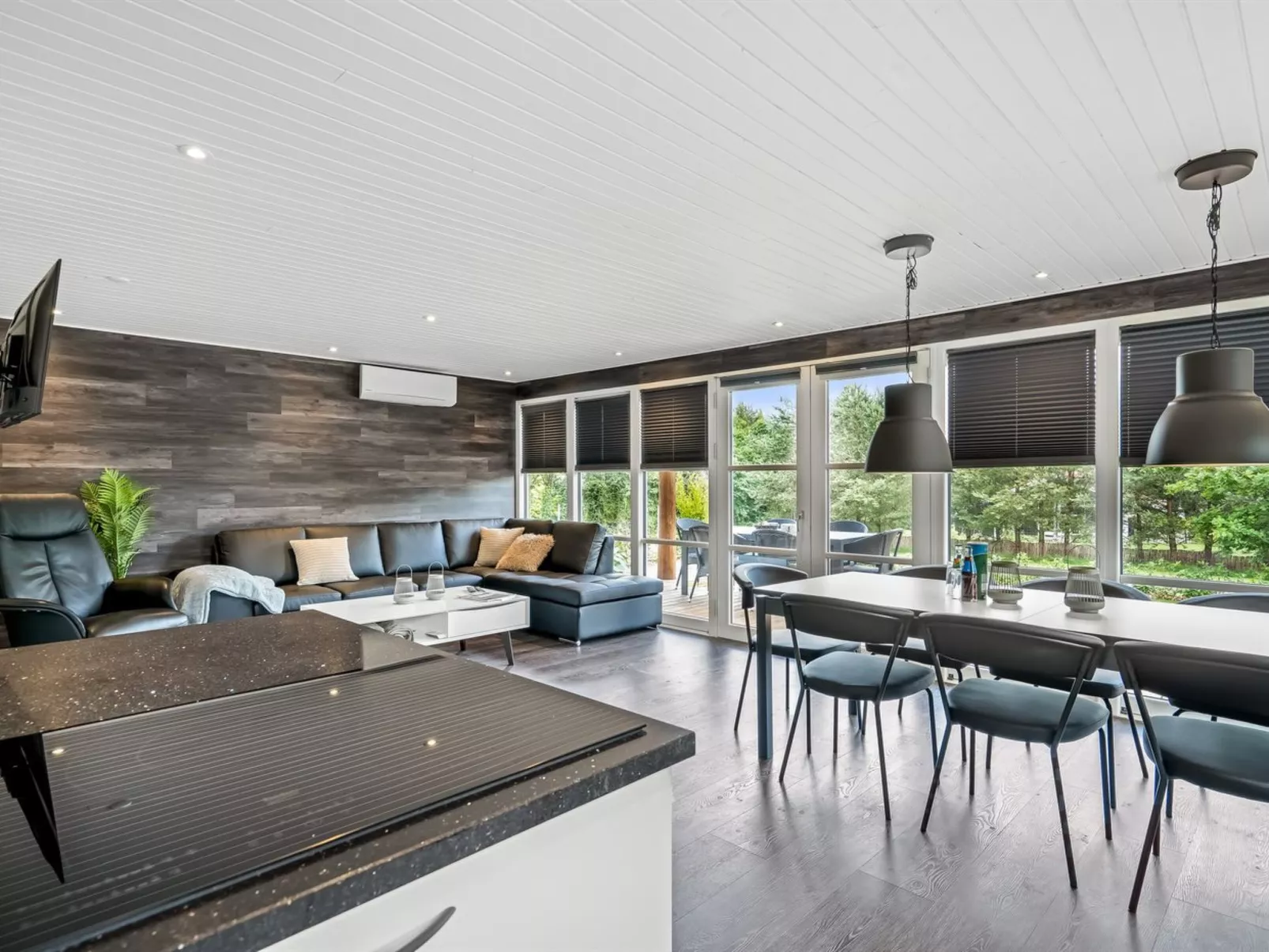 "Skip" - 300m to the fjord-Dedans