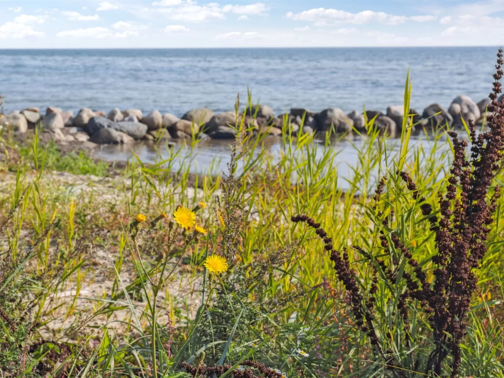 "Drifa" - 20m from the sea-Draußen