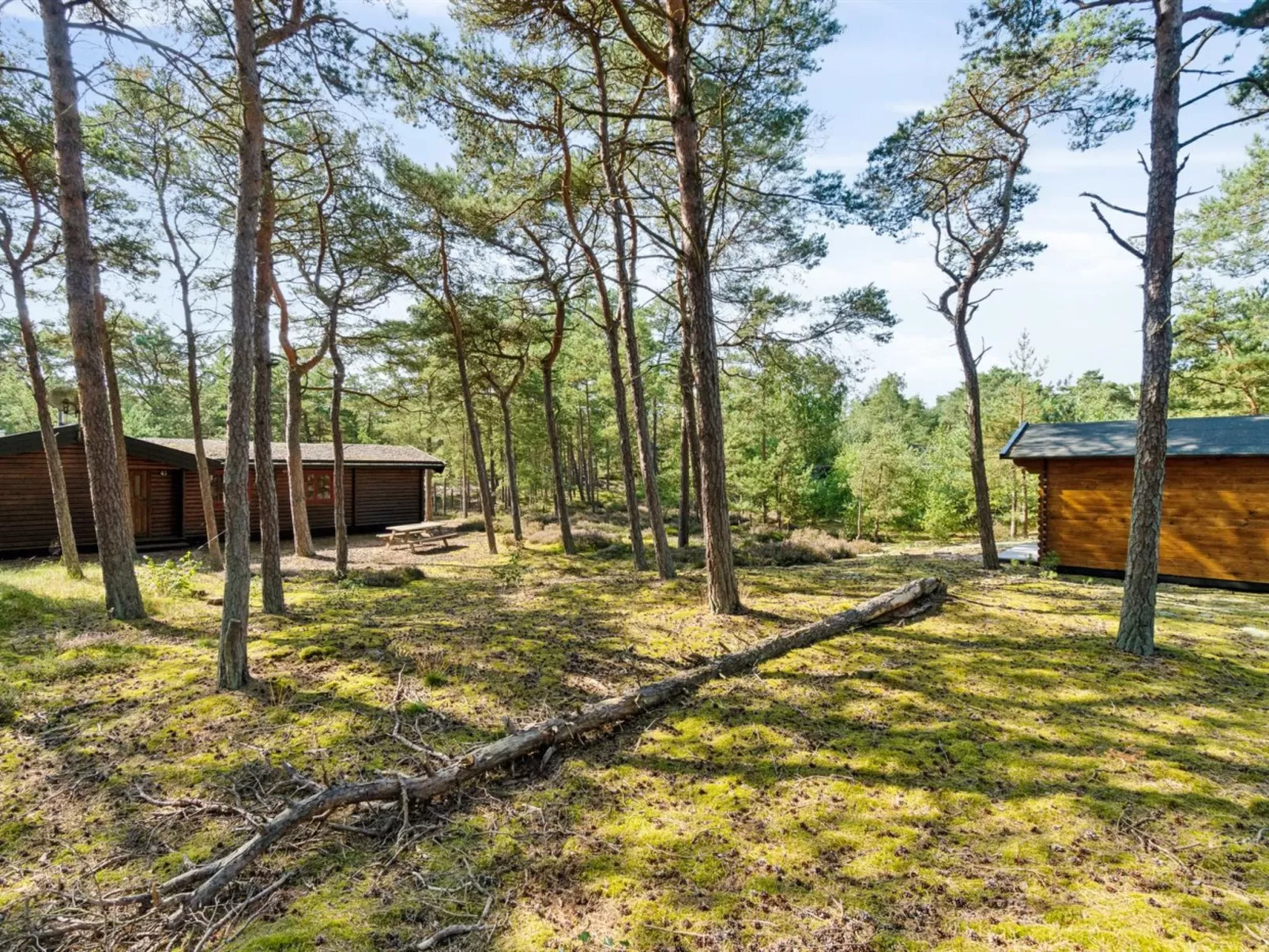 "Sonya" - 350m from the sea-Dedans