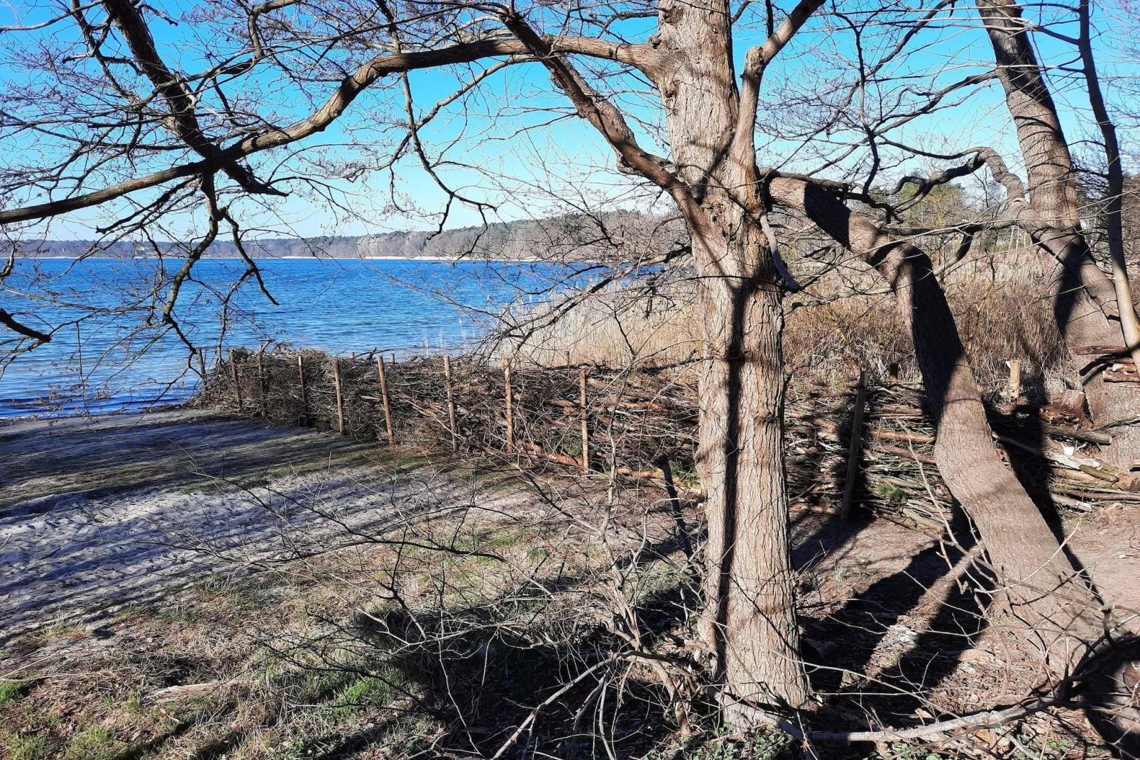 Luxus Appartement / 6 Personen-Areas within 5km in summer