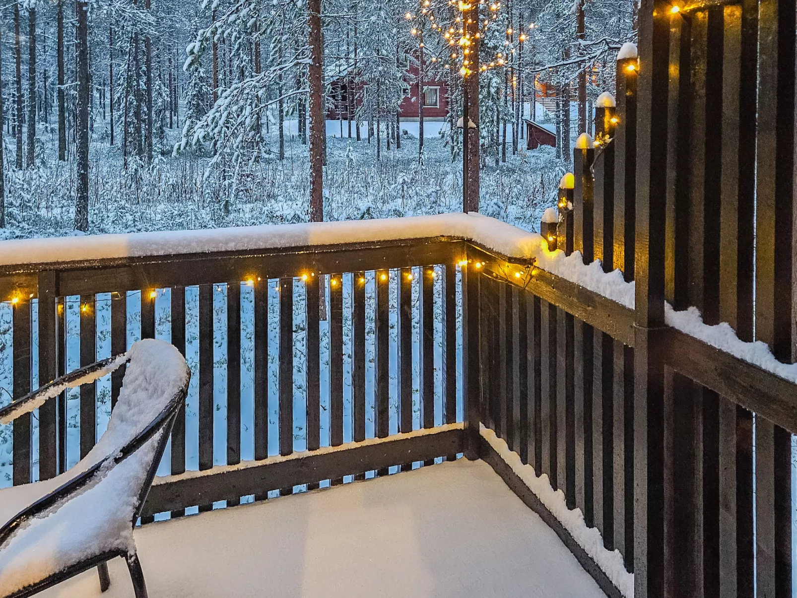 Rovarakka 1 b-Inside