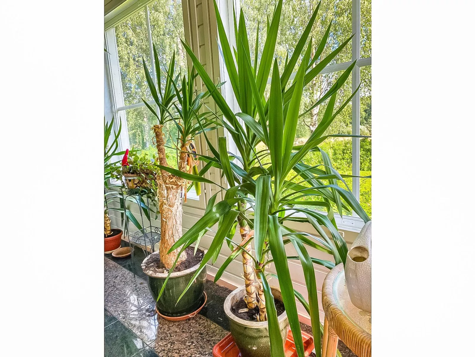 Grand villa kemijoki-Drinnen