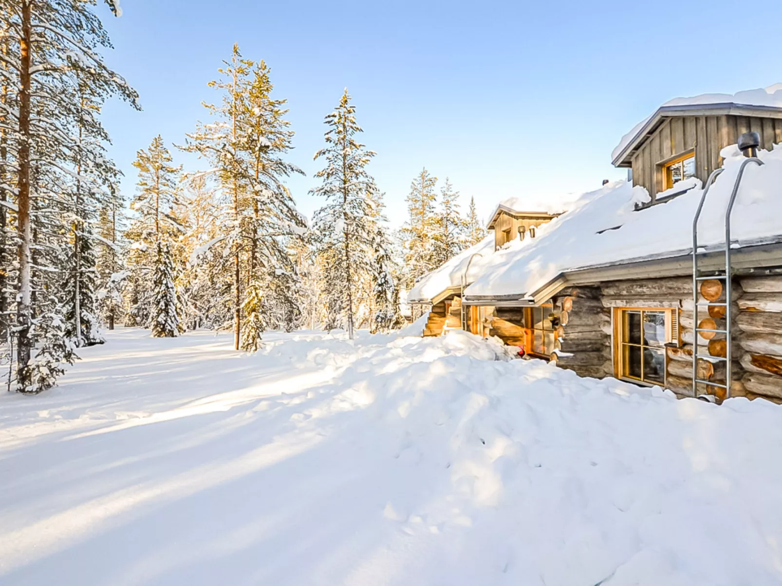 Teerentie / fun / dasher-Drinnen