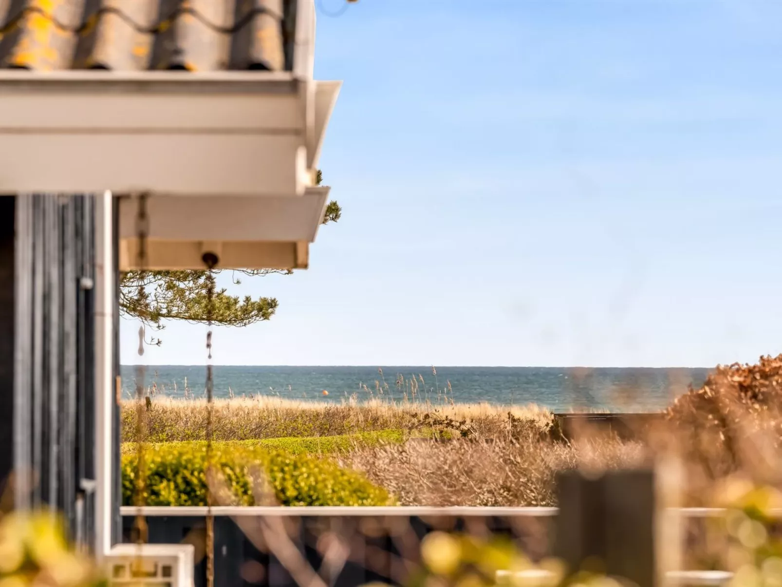 "Bara" -  from the sea-Draußen