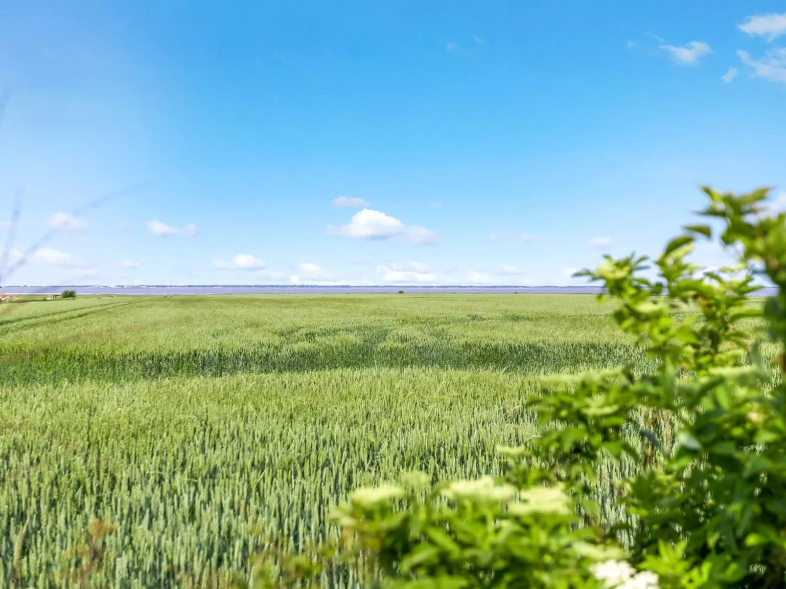 "Freja" - 12km from the sea-Draußen