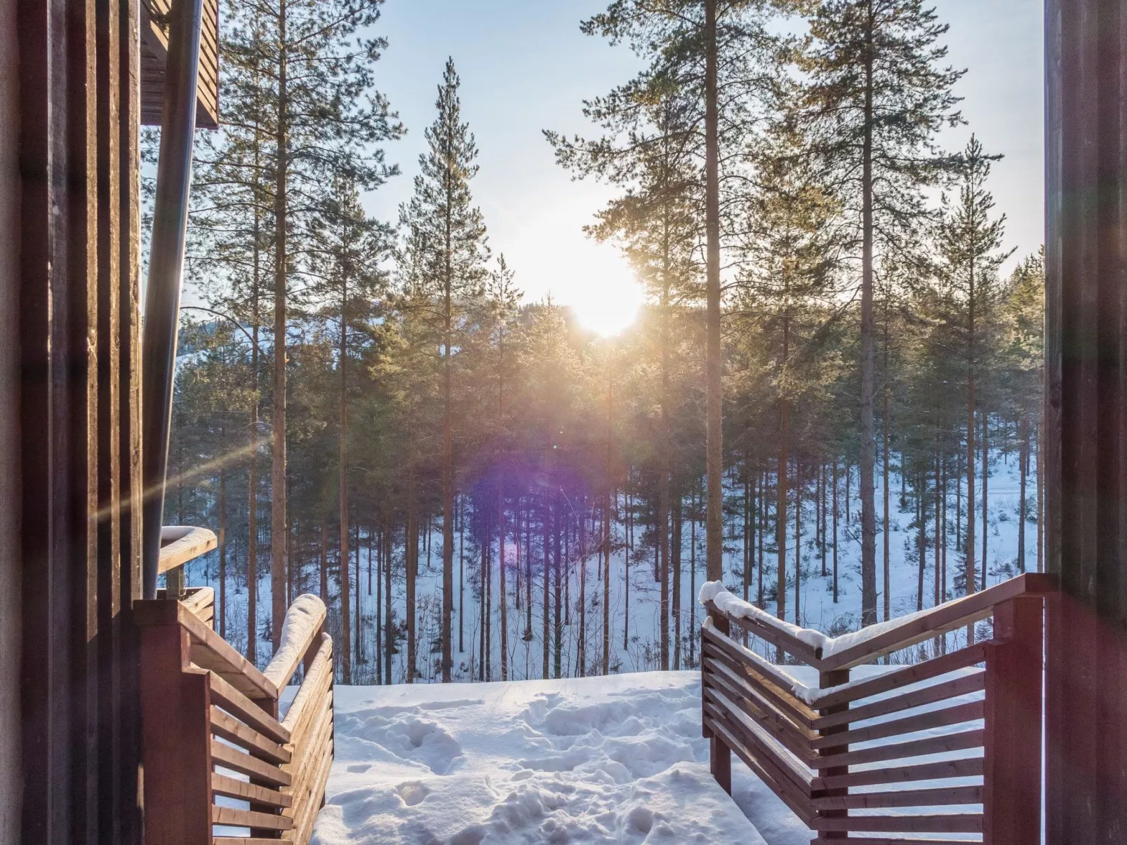 Sk suite c 13-Inside