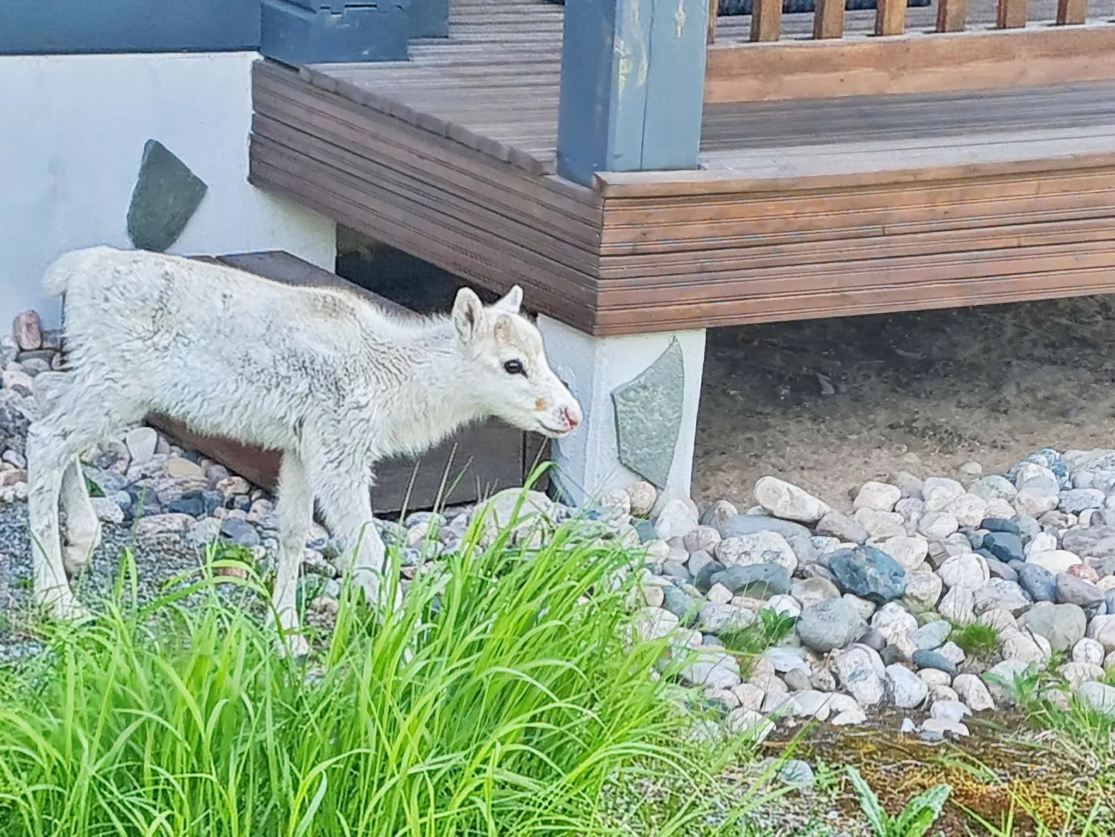 Vuosselinkulma 1-Dedans