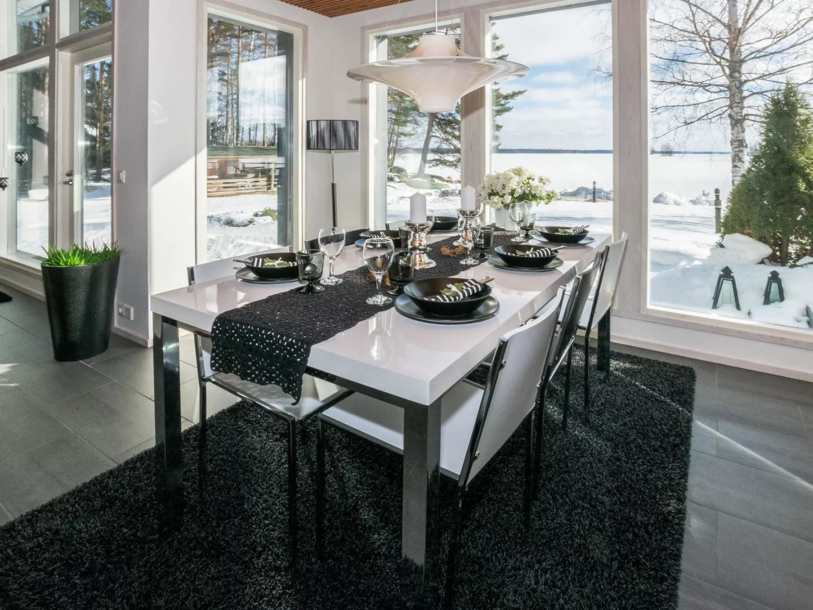 Villa kaivopuisto-Dedans