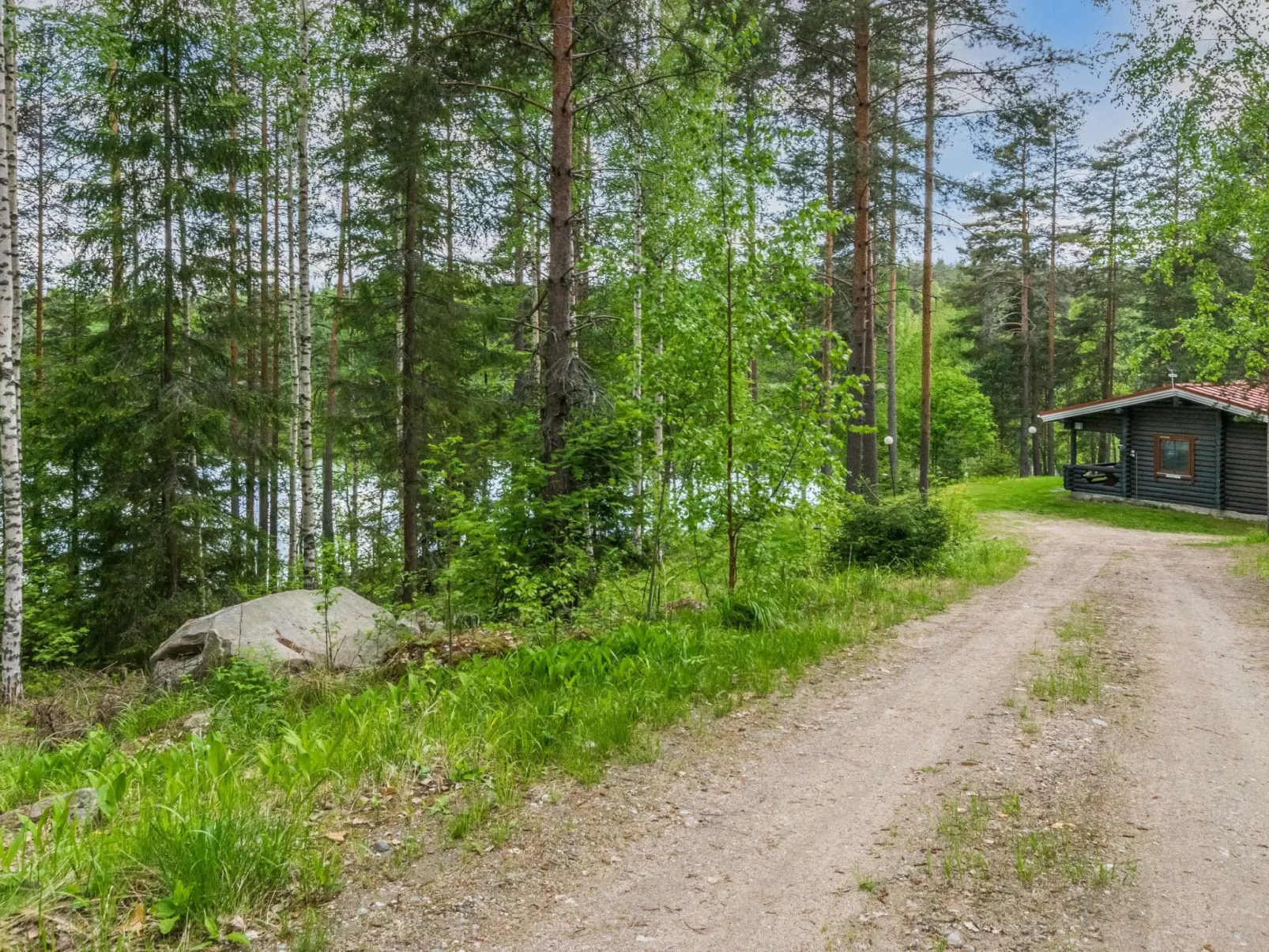 Lohi, cjoe237 a-Inside