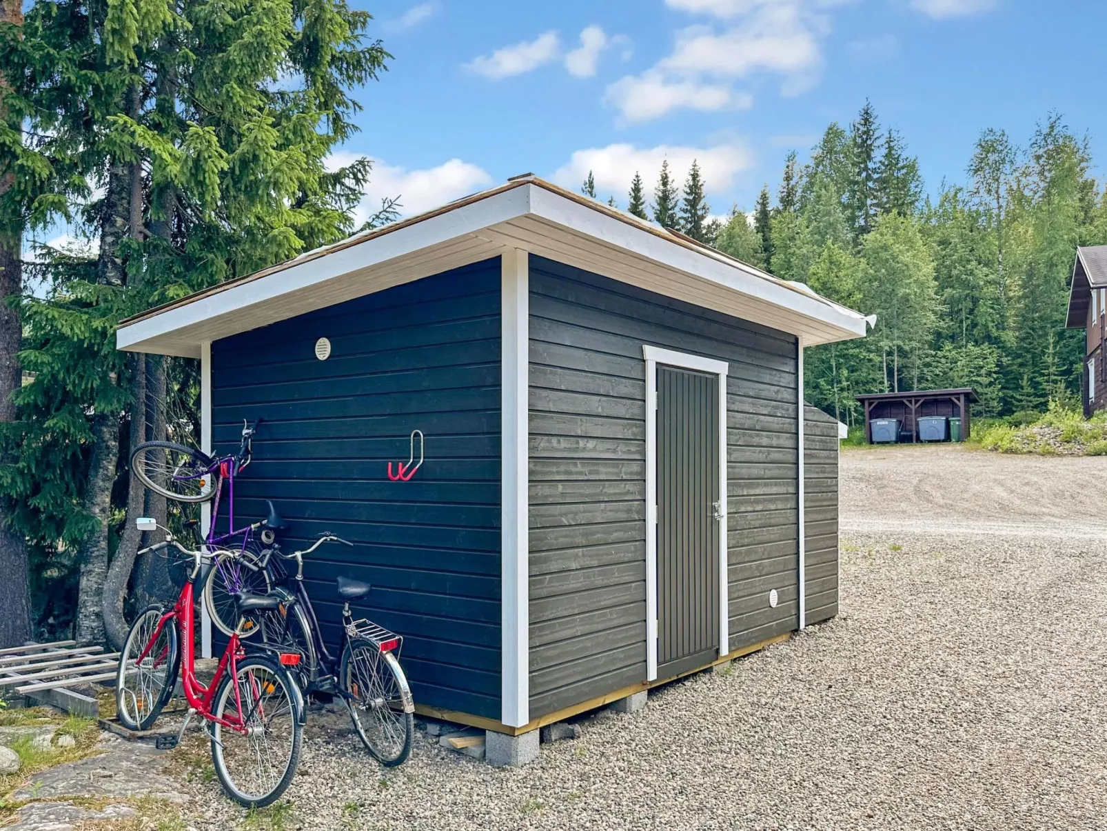 Vuokatin wassu-Dedans