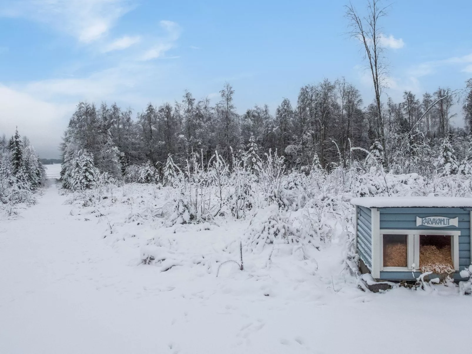 Kivilahti vuokatti-Inside