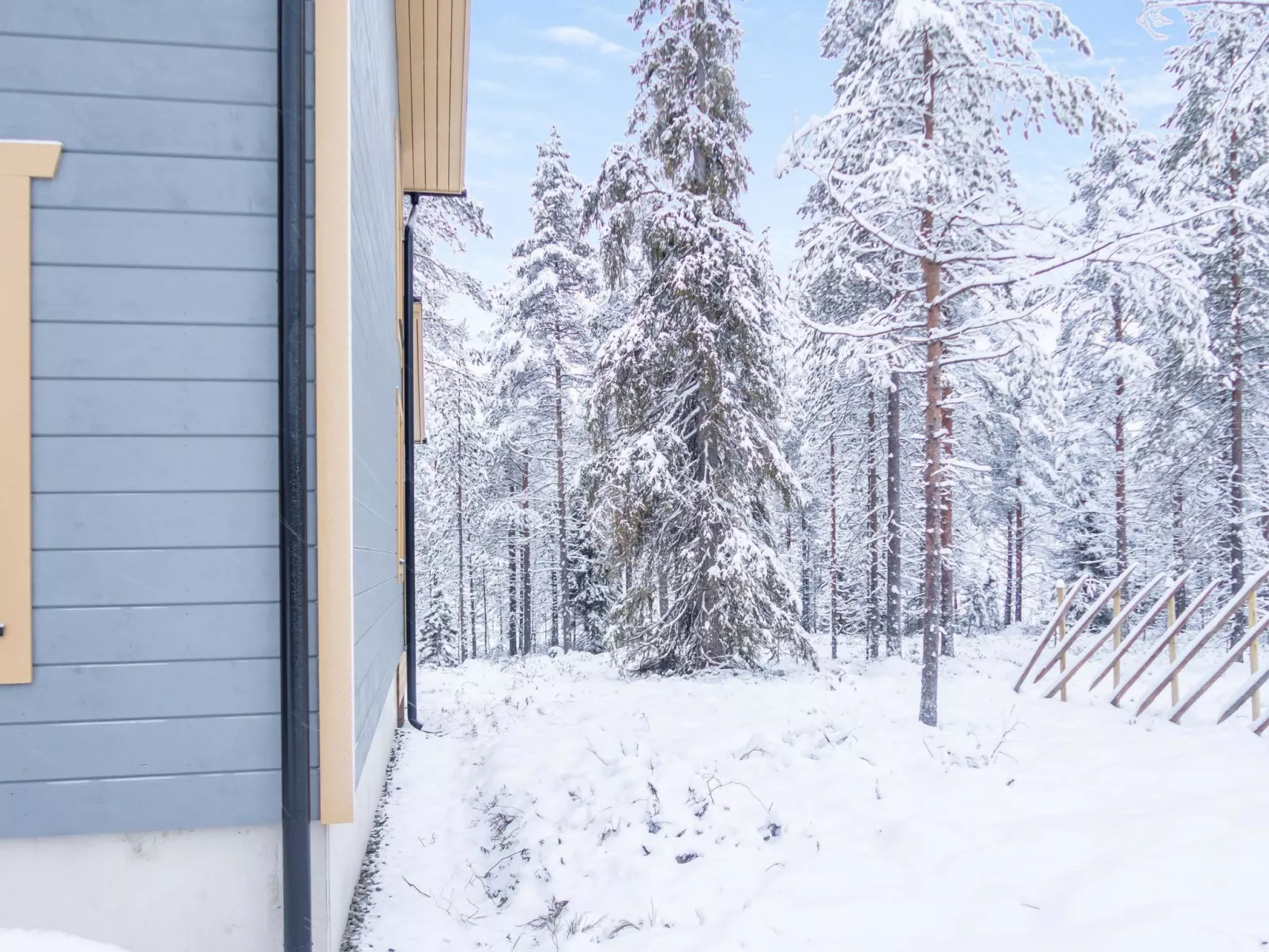 Saukonpesä b-Drinnen