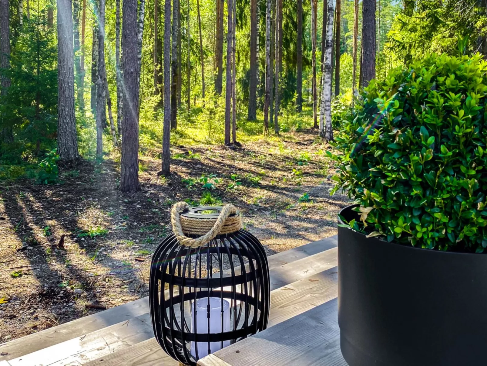 Villa väiski-Dedans